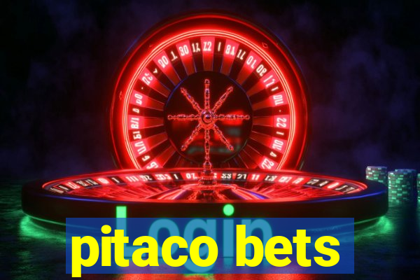 pitaco bets